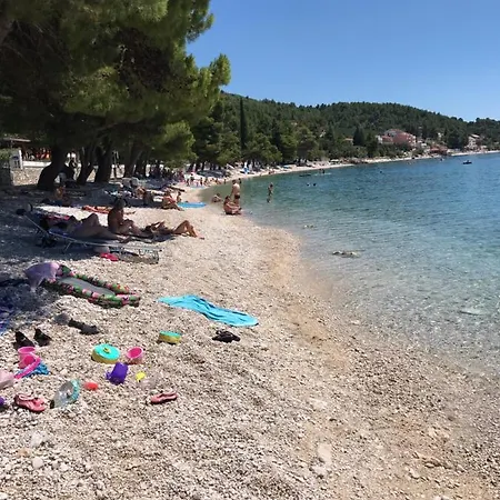 Bossina ザオストログ