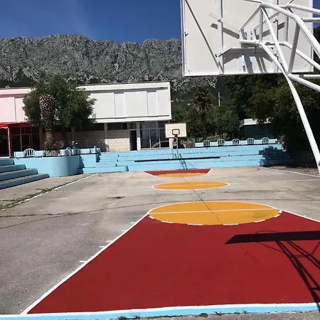 Bossina ザオストログ