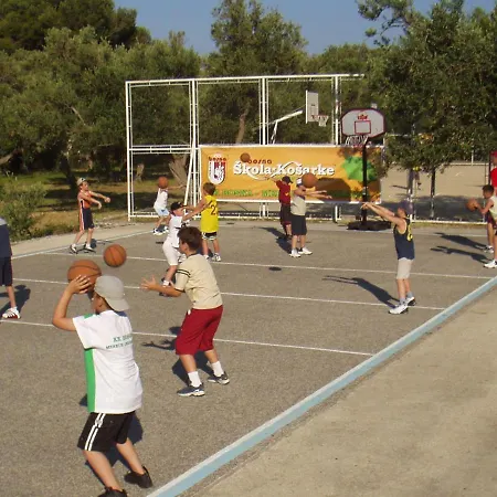 Bossina * زاووستروج