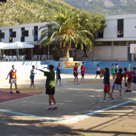 Bossina زاووستروج