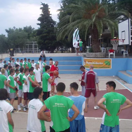 Bossina * زاووستروج