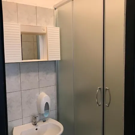 Bossina زاووستروج