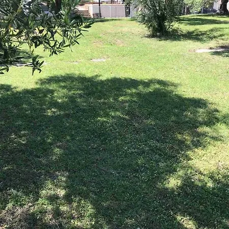 Bossina * زاووستروج